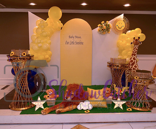 Party Decor_004
