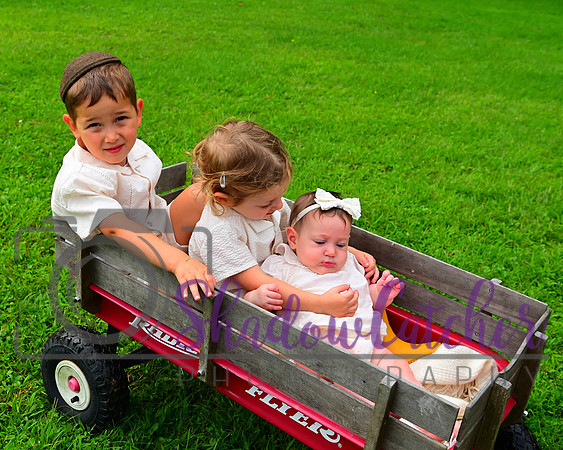 Goldfarb_Family_024