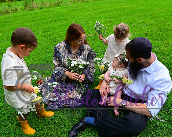 Goldfarb_Family_033