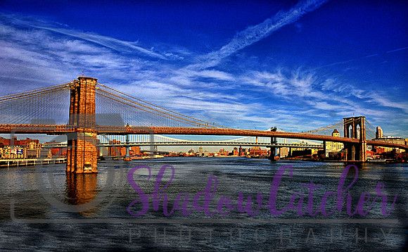 DSC_1351-2