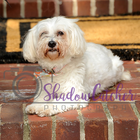 Wrigley_006