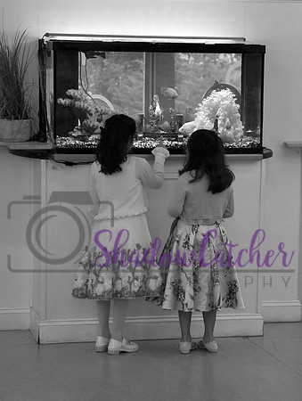 Party & Portraits_017