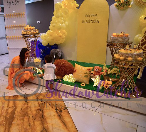 Party Decor_014