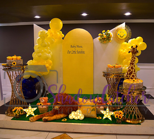 Party Decor_009