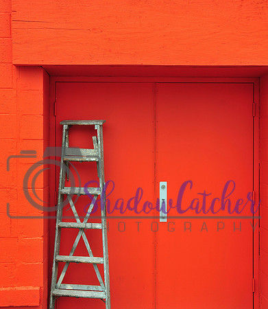 Orange You Glad...
