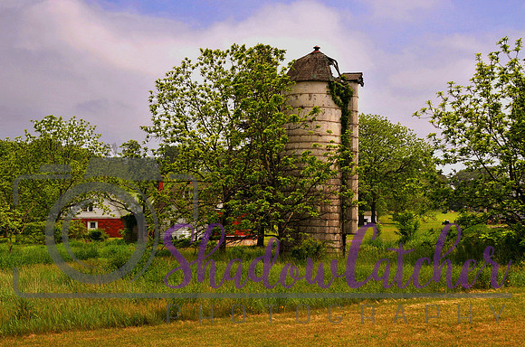 Summer Silo